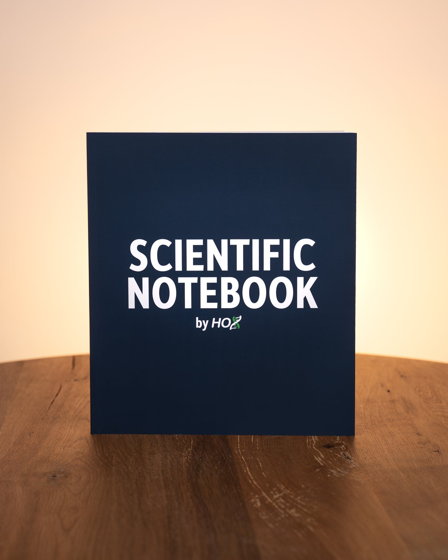 Scientific Notebook